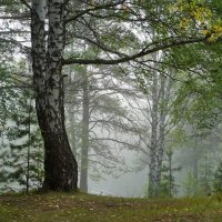 Приметы августа :: Галина Кан Приметы августа :: Галина Кан