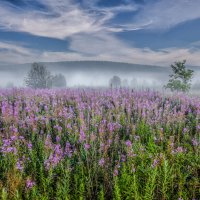 Вечер :: александр 