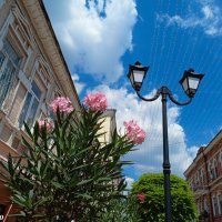 Ростовское лето :: Нина Бутко