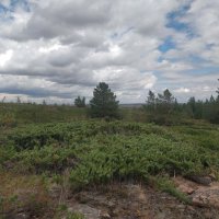 Облака над Кереем :: Андрей Хлопонин