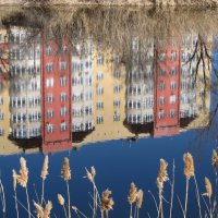 весёлый апрель :: Елена Шаламова весёлый апрель :: Елена Шаламова