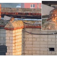 Домовый сыч :: Сеня Белгородский