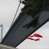 Под мостом :: Сергей Никифоров