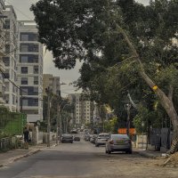 Израиль *Афула 2025г :: ujgcvbif 