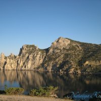 Природа Крыма :: Amazing Cosmea