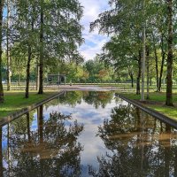 После дождя :: Мария Васильева После дождя :: Мария Васильева