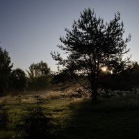 Рассвет :: Валерий Пославский