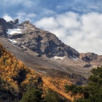 Осень. :: olegdanilhenko Олег Данильченко