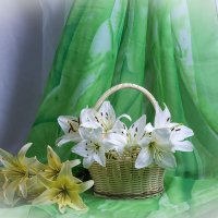 Лилии :: Людмила Павловна Крышковец