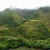 На острове Лусон. :: unix (Илья Утропов) На острове Лусон. :: unix (Илья Утропов)