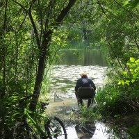 Рыбак в парке Покровское-Стрешнево :: Лидия Бусурина Рыбак в парке Покровское-Стрешнево :: Лидия Бусурина