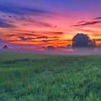 Утро :: vladimir 