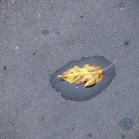 Бродит осень рядом где-то :: Валерий Иванович