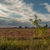 ... :: василий 