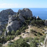 Природа Крыма :: Amazing Cosmea