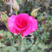 ,,, :: Сергей Тимоновский ,,, :: Сергей Тимоновский