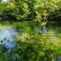 РЕЧКА :: Tata Wolf