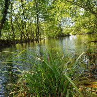 РЕЧКА :: Tata Wolf РЕЧКА :: Tata Wolf