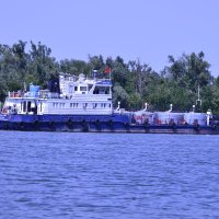 Дон. :: Виктор 