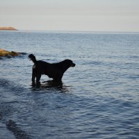 жарко. :: petyxov петухов