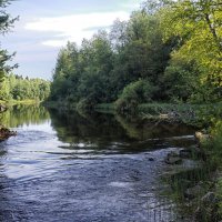 река Янис :: Ольга Cоломатина