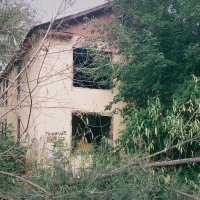 Затерянный в джунглях городских. :: Игорь Солдаткин