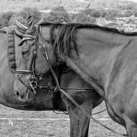 друзья :: Jiří Valiska друзья :: Jiří Valiska