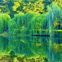 Отражение :: Iren Brilliance