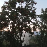 В белую ночь :: Виктор 