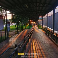 Станция Андроновка :: Павел Михалёв