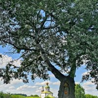 Суздаль :: Михаил Свиденцов