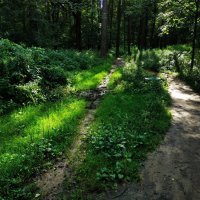 Мой путь светел :-) :: Андрей Лукьянов