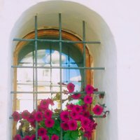 Цветы на окне :: Сергей Кочнев