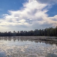 Введенское озеро :: Сергей Цветков Введенское озеро :: Сергей Цветков
