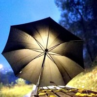 Осенняя фотосессия зонтика. :: Любимова Ольга 