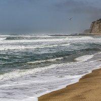 Тихий ;-) :: Алексей Пышненко Тихий ;-) :: Алексей Пышненко