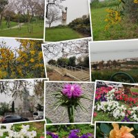 Коллаж из моих фотографий :: Светлана Хращевская Коллаж из моих фотографий :: Светлана Хращевская