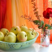 *** :: Надежда Куркина 