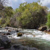 Мимо не проедешь - жара! :: LudMila 