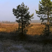 Ноябрь :: Andy 