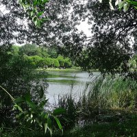 Парк усадьбы Покровское-Стрешнево :: Лидия Бусурина