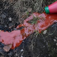 *** :: Валерий Михмель 