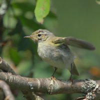 ...хочу летать... :: Andrey Bragin ...хочу летать... :: Andrey Bragin