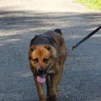 Сторож :: Freddy 97