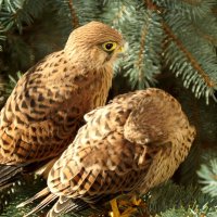 . . . :: Jiří Valiska