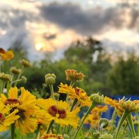 Вечер :: Андрей 