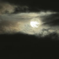 Luna #2 :: Анна Камс Luna #2 :: Анна Камс