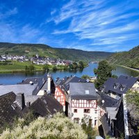 --------------------- :: igor G.