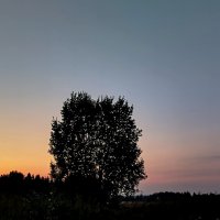 На закате дня :: светлана льдокова