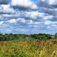 Про облака. :: Милешкин Владимир Алексеевич 